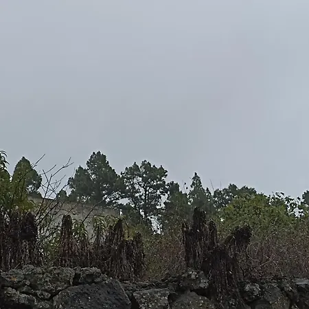 La Hernandera * Las Indias